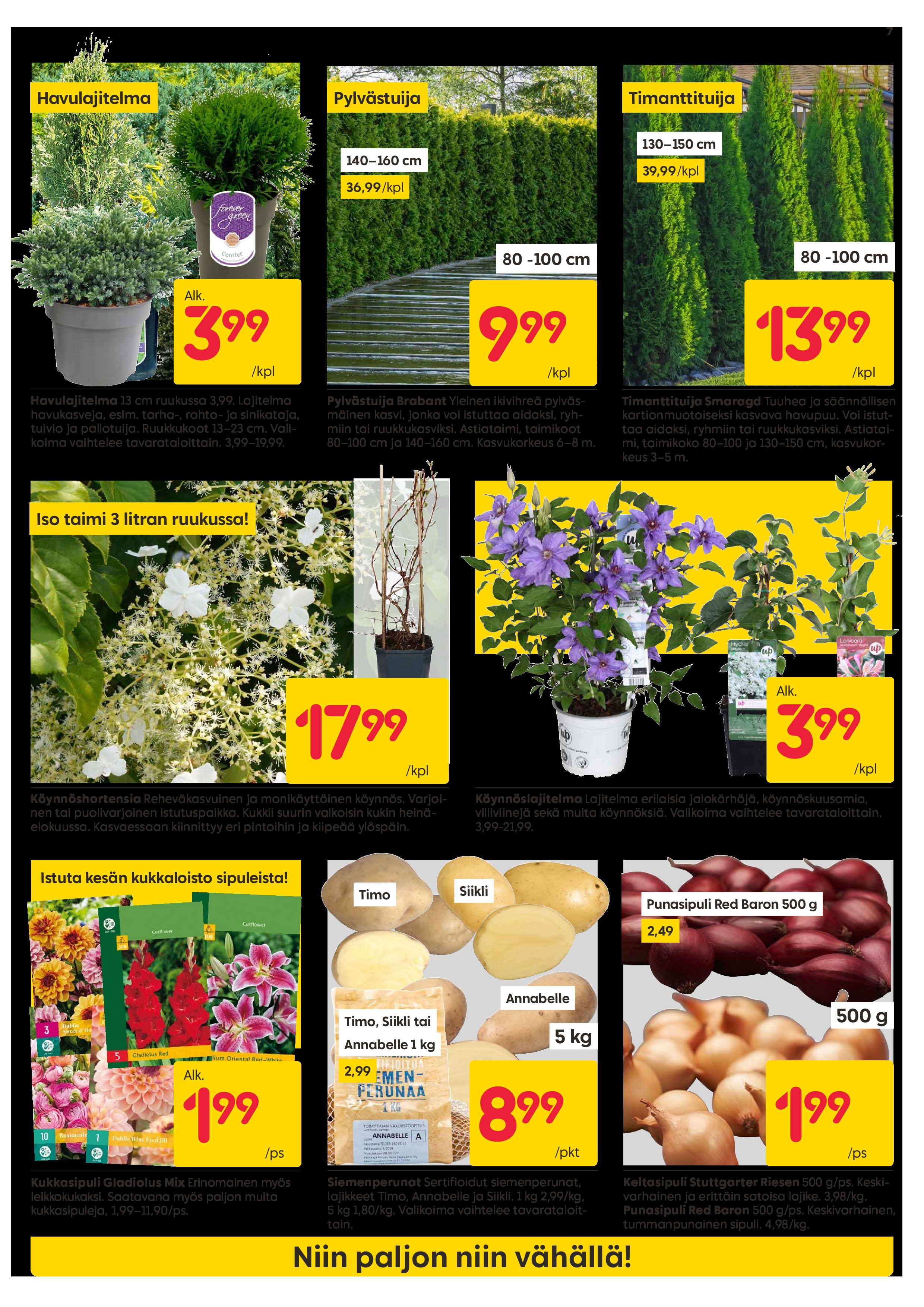 Rusta Rustattuja Hintoja sivu 7